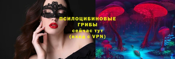 ПСИЛОЦИБИНОВЫЕ ГРИБЫ Лиски