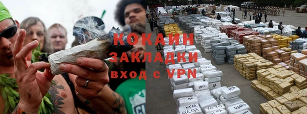 ПСИЛОЦИБИНОВЫЕ ГРИБЫ Лиски