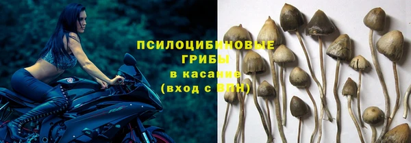ПСИЛОЦИБИНОВЫЕ ГРИБЫ Лиски